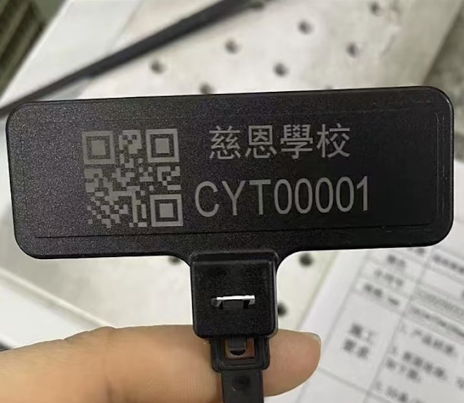 RFID Cable Tie Tags (RFID 索帶標籤)